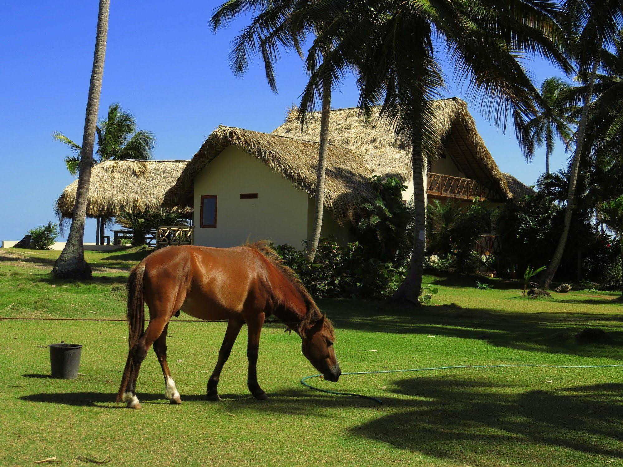 El Francés Villa Punta Coral מראה חיצוני תמונה